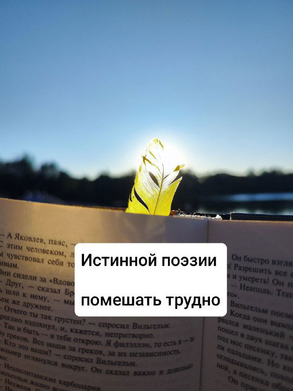 Книжный оракул по «Пушкину» — часть 2