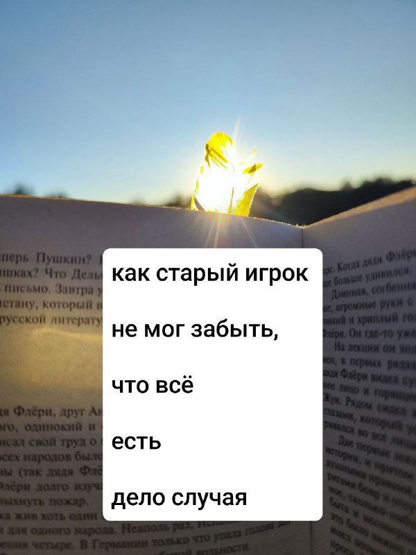 Крупный план открытой книги с закладкой и солнечным бликом, на фоне виден горизонт и мягкий свет, создающий атмосферу уединённого чтения.