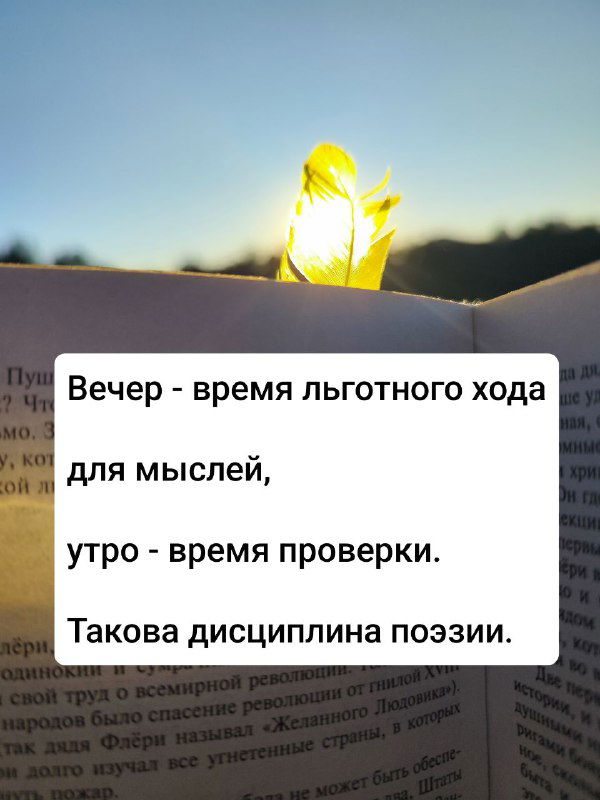 Страница книги с контрастным солнечным пятном от закладки; кадр передаёт ритуал чтения и внимание к деталям текста и образам.