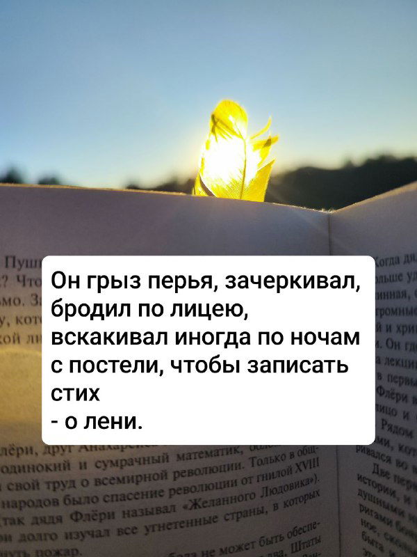 Открытая книга в тёплом свете, закладка в виде листа выделяется на фоне строки текста, снимок создает ощущение спокойного вечера и размышления.