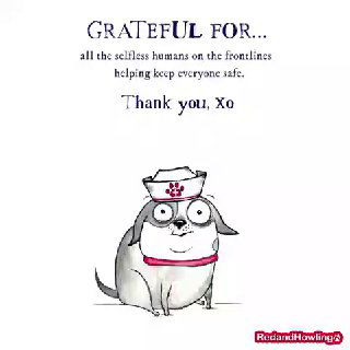 Миниатюра: иллюстрация с мультяшной собакой в медицинской шапочке и благодарственной надписью на английском, символ поддержки работников на передовой.