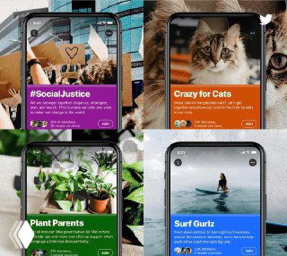 Коллаж экранов мобильного приложения с карточками сообществ Twitter: примеры тем и визуальных превью сообществ для подписчиков