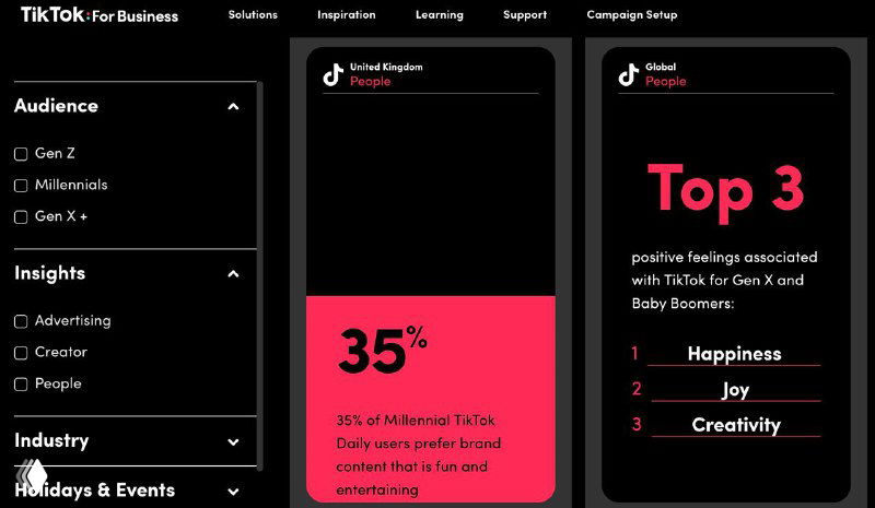 Скриншот интерфейса TikTok For Business: панель Insights с диаграммой «35%», блоком «Top 3», списком категорий и фильтрами аудитории по странам и поколениям.