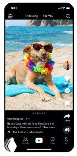Скриншот интерфейса TikTok: видео с собакой в очках на пляже, видны элементы ленты, иконки действий и кнопки в правой части экрана