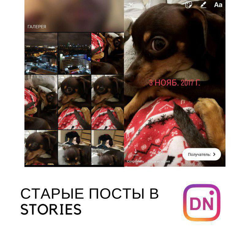 Скриншоты Instagram Stories с датой «8 нояб. 2017» и крупным фото щенка — иллюстрация функции публикации старых постов.