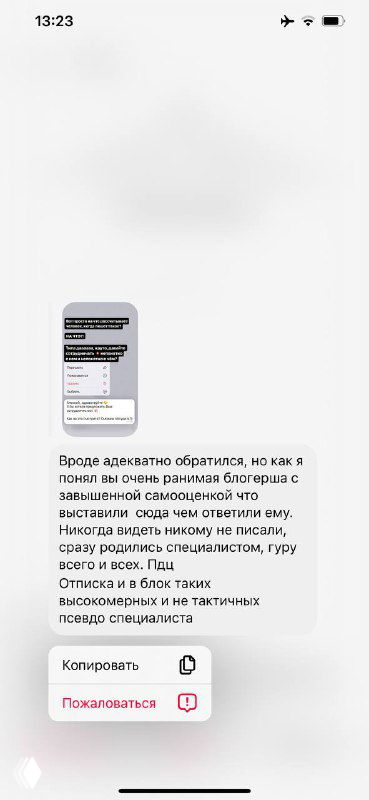 Скриншот истории: мобильный экран с изображением предыдущего сообщения и заметками автора, видны элементы интерфейса и миниатюры переписки.