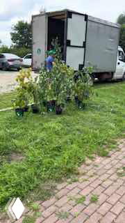 Кадр с грузовиком и развешанными растениями: сцена выгрузки, выглядит как бытовая пометка для имитации естественности в ролике.