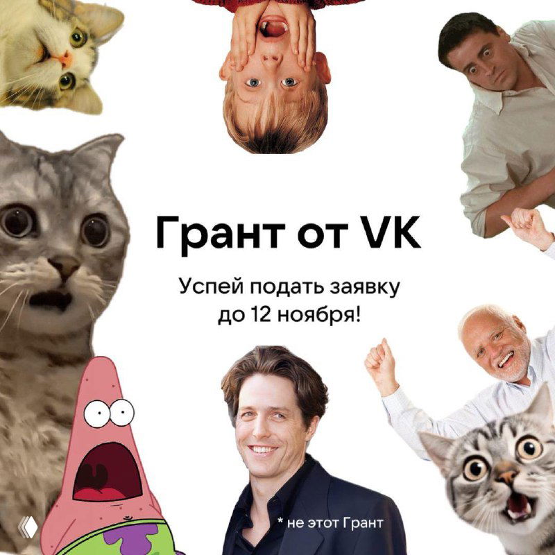 Коллаж с надписью «Грант от VK», указанием дедлайна 12 ноября; на картинке — несколько котов и юмористические лица.