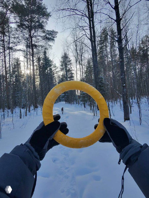 POV-кадр прогулки в зимнем лесу: руки в перчатках держат желтое кольцо на фоне заснеженной тропы и высоких сосен.