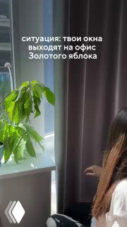 Вертикальный кадр с видом на интерьер и растение у окна; на экране белый текст о ситуации с окнами, иллюстрация локального контента коллаба с Золотым Яблоком.