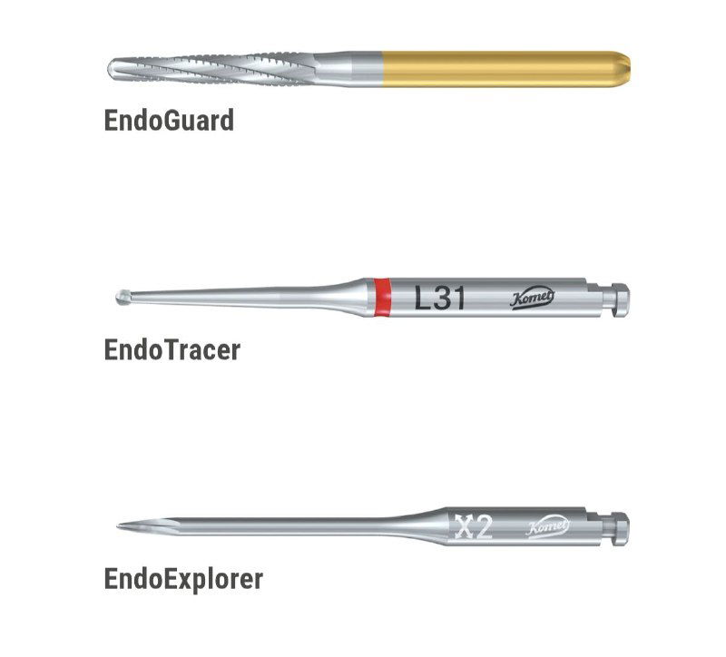 Три инструмента: EndoGuard, EndoTracer (с красной маркировкой L31) и EndoExplorer (X2); крупный план рабочей части и маркировки на стержне.