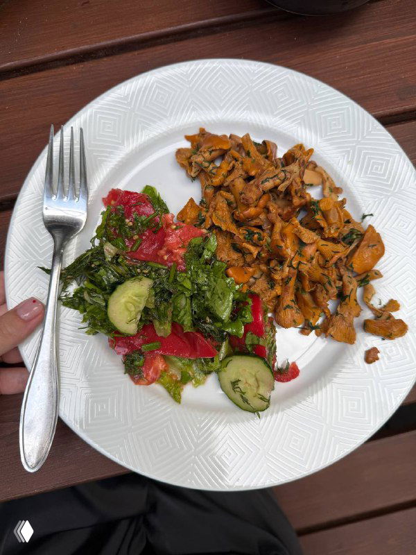 Тарелка с зелёным салатом и поджаренными лисичками рядом с вилкой — готовый вегетарианский ужин на летней веранде.