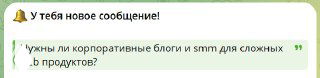 Скриншот переписки в мессенджере с зелёным сообщением: вопрос о необходимости корпоративных блогов и SMM для сложных продуктов на светлом фоне.