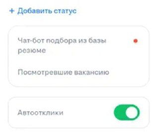Скриншот интерфейса вакансии с карточками статусов и включённым переключателем «Автоотклики», показывающий, как выглядит активированный режим в панели управления