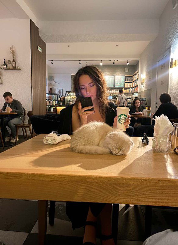 Интерьер кафе с женщиной и спящей на столе шотландской кошкой; пример изображения для комбинирования деталей и добавления объектов по промпту.