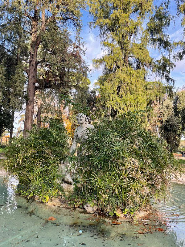 Небольшой фонтан с зелёными растениями и водой в городском парке Рима — спокойный городской пейзаж во время прогулки.