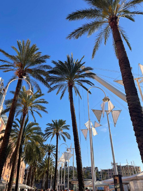 Новый уровень усталости в Генуе