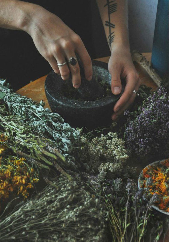Руки женщины перетирают травы в ступке на столе рядом с пучками сушёных трав — подготовка растительных смесей для натуральной косметики и шампуней.