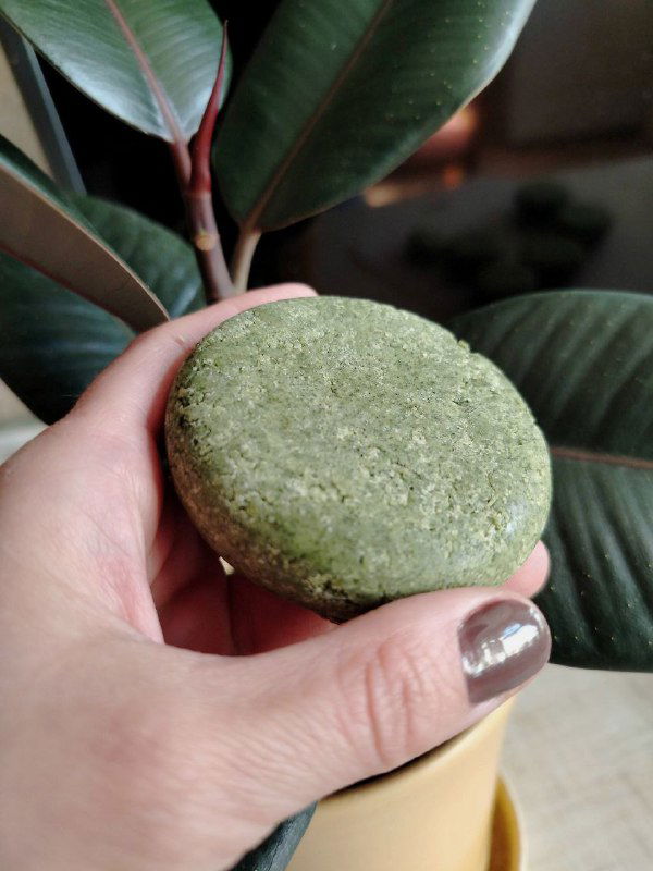 Зелёный твёрдый шампунь в руке на фоне комнатного растения — готовая форма шампуня из крапивы и масел, предназначенная для мытья волос.