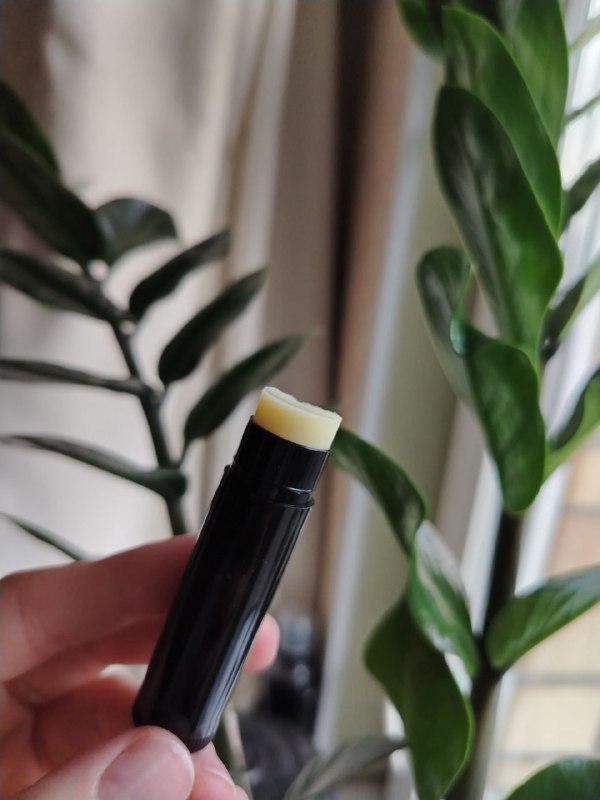 Чёрный тюбик‑стик бальзама для губ в руке на фоне зелёных растений, видно форму и оттенок продукта, для локального ухода за губами.