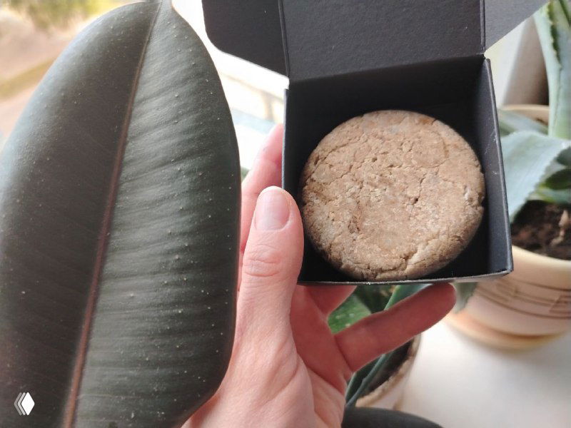 Твёрдый шампунь в открытой коробке в руке рядом с зелёным листом, видно текстуру продукта и упаковку для отправки клиентам.