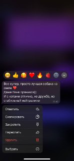 Размытое пурпурное пятно на экране смартфона с наложенным меню и частично видимым текстом; собака не различима.