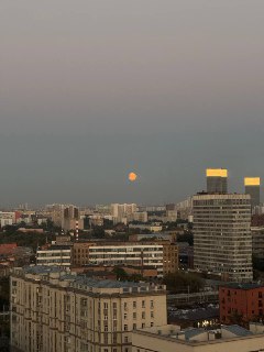 Луна оранжевого оттенка над городским горизонтом, многоэтажки и вечернее небо видно на снимке, отправленном в чат друзей.