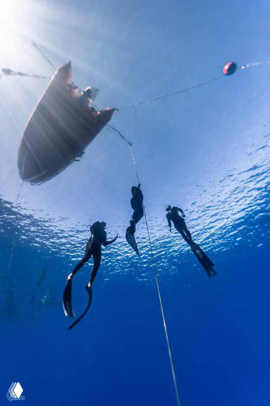 Подводный кадр: несколько фридайверов у буйка и лодки, силуэты ныряльщиков в синей воде, вид снизу на поверхность и привязной буй.