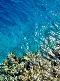 Крупный план прозрачной синей воды и прибрежных рифов с солнечными бликами, подчёркивающими чистоту моря в Шарме.
