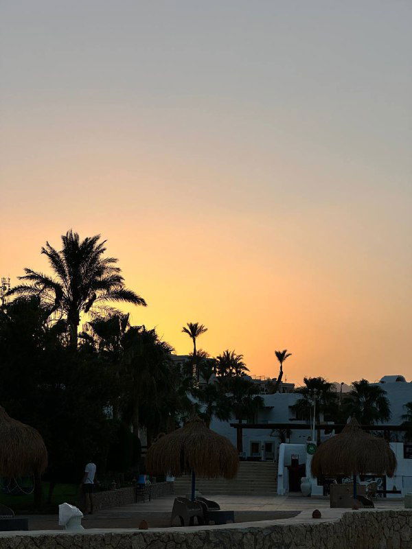 Бонусное фото заката: оранжевое небо над побережьем, силуэты пальм и низких зданий на фоне — sunset TV, упомянутое в посте