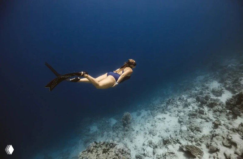 Фридайверка в ластах плывёт в глубокой синей воде над коралловым рифом; иллюстрация к объяснению термина «фридайвинг».