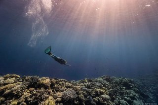 Фридайвер в ластах плывёт под водой над коралловым рифом; солнечные лучи пробиваются через поверхность, подчёркивая глубину.