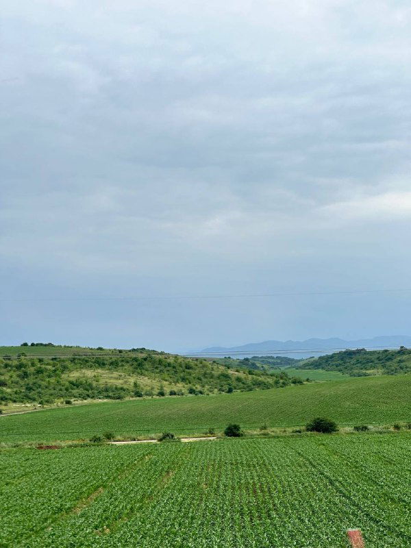 Панорамный вид на зелёные поля и отдалённые холмы Кабардино‑Балкарии под плотным облачным небом, спокойный сельский пейзаж.