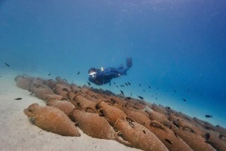 Фридайвер под водой плывёт над рядом расположенных сосудов на морском дне; вокруг него множество мелких рыб.