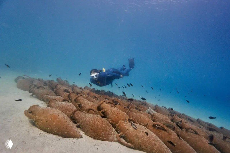 Фотография под водой: фридайвер в костюме и ластах плывёт над дном рядом с амфорообразными объектами и стайкой рыбы.