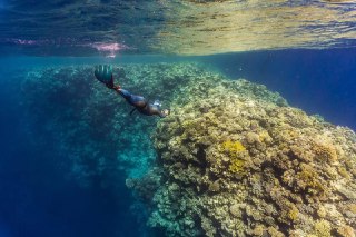 Подводное фото: фридайвер плывёт у кораллового рифа под поверхностью воды, видна поверхность и игра света.