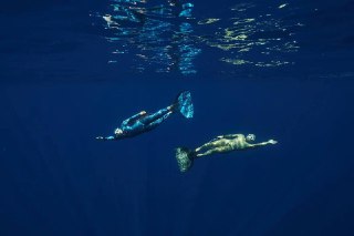 Два фридайвера в ластах под водой, плывущие в глубокой синей толще моря; видны силуэты, блики света и спокойная подводная сцена погружения.