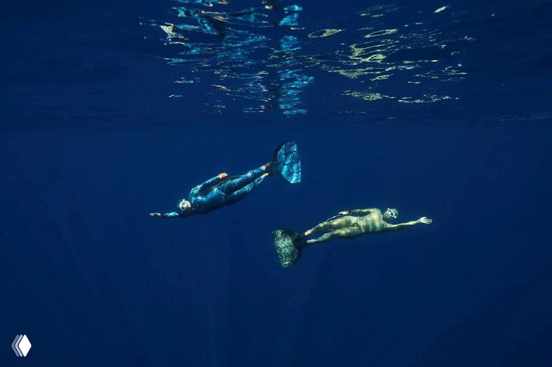 Подводный кадр: двое фридайверов плывут в глубокой синей воде рядом друг с другом в моноластах во время тренировки.