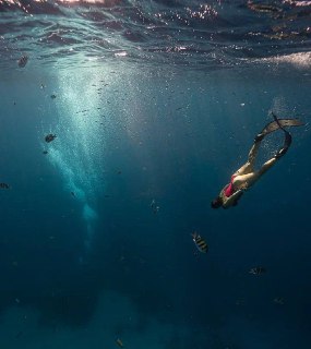 Подводный кадр: фридайвер в маске и ластах опускается в глубокую синюю воду среди небольших рыб, лучи света видны сверху.