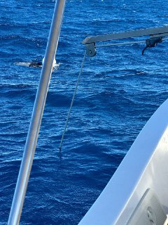 Вид с палубы лодки на глубокое синее море: металлический поручень и часть палубы на переднем плане, вдалеке вода с волнами.