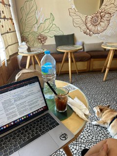 Интерьер кафе: на столе ноутбук с документом, стакан с напитком и бутылка воды; рядом лежит собака Бухта, на стене роспись