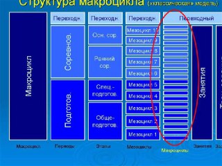 Слайд с диаграммой структуры макроцикла: вертикальные блоки этапов и выделенный правый столбец мезо‑ и микроциклов, обучающая графика презентации.