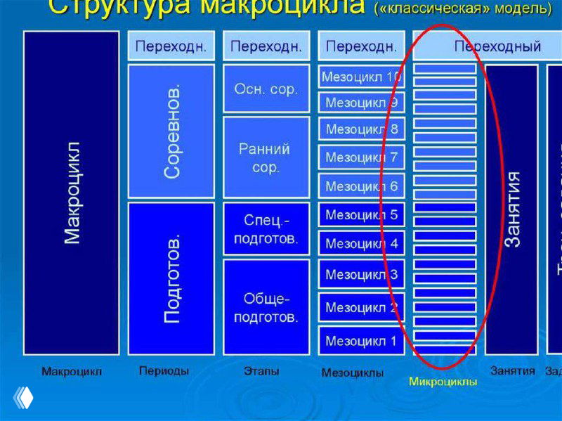 Инфографика: схема структуры макроцикла с обозначением подготовительного, соревновательного этапов и мезо‑ и микроциклов для планирования тренировок.