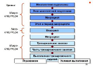 Схема уровней подготовки: блоки многолетней подготовки, макро-, мезо- и микроциклы, последовательность этапов и структура тренировочного занятия на слайде.