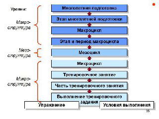 Блок‑схема этапов многолетней подготовки: макро‑ и мезоструктура, этапы многолетней подготовки, тренировочное занятие и условия выполнения упражнений.