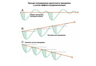 Диаграмма принципа цикличности тренировок с эффектом суперкомпенсации: графики A, B, C, волны нагрузки и зоны восстановления.