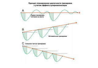Схематичная диаграмма планирования тренировочных циклов с эффектом суперкомпенсации: пики нагрузки, восстановление и рост формы.