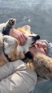 Корги по кличке Бухта лежит на прозрачном льду Байкала, человек гладит её лапу, видны трещины и отражения на поверхности.