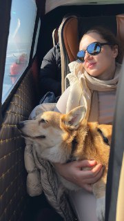 Внутри автомобиля человек в солнцезащитных очках держит Бухту на коленях, видна обшивка салона, собака смотрит в окна.