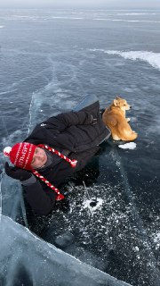 Человек в тёмной куртке лежит на льду рядом с Бухтой, собака сидит немного в стороне, вокруг ровный лёд с трещинами и белыми пятнами снега.